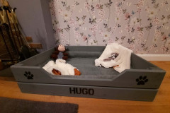 Hugo-In-Situ