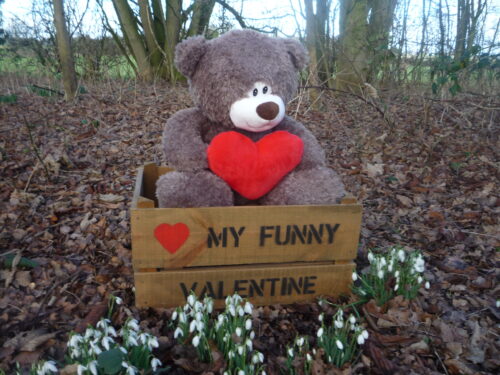 Personalised Valentine's Apple Crate