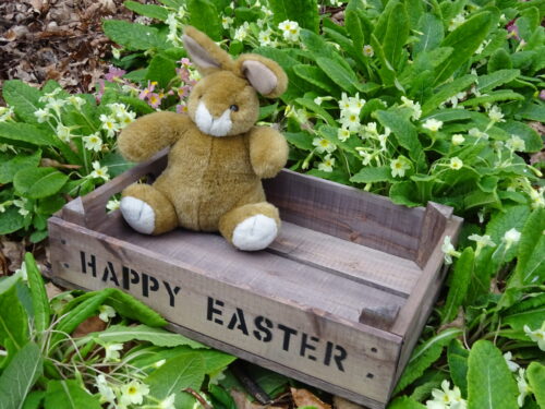 Personalised Small Easter Tray