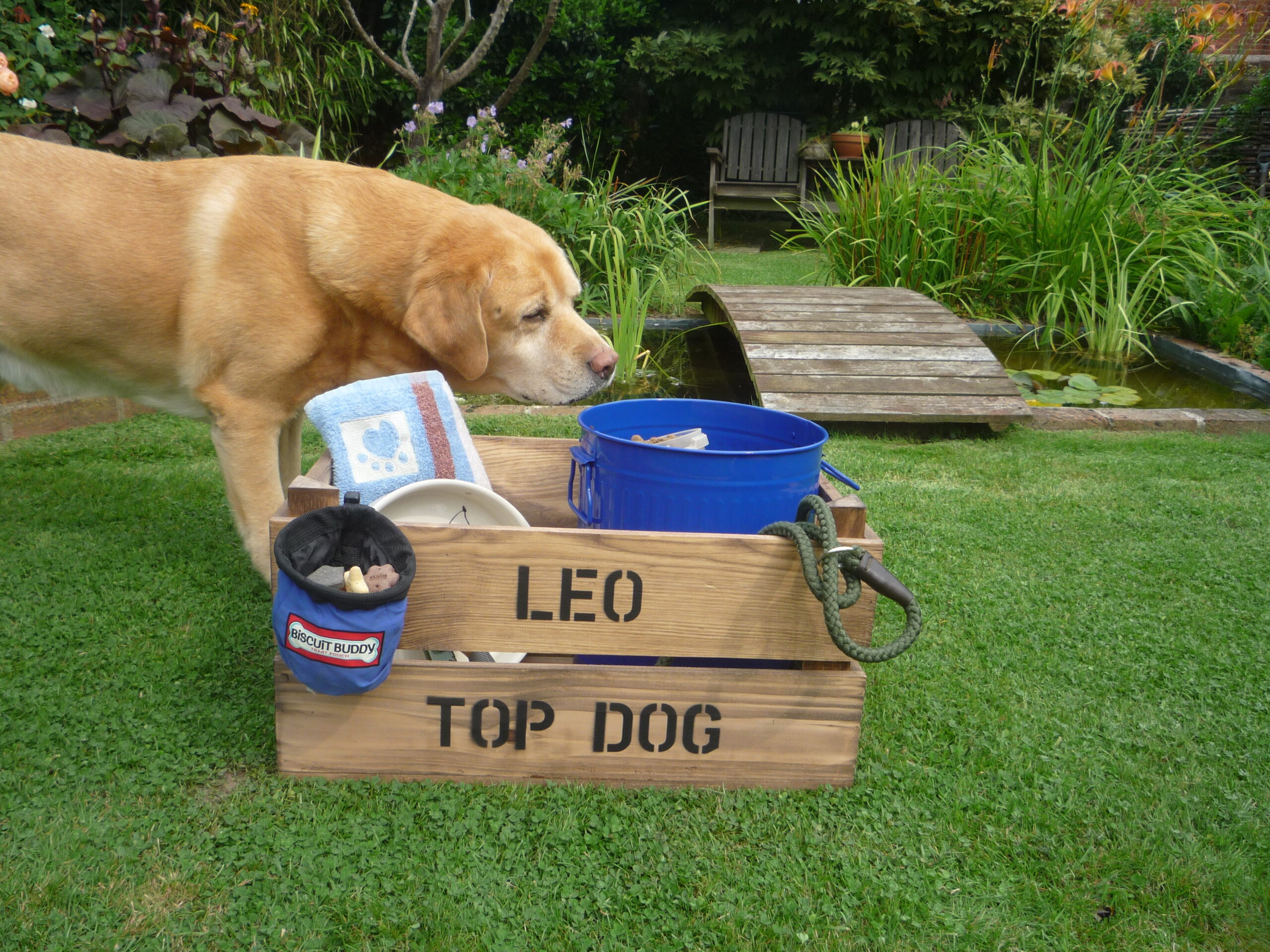 Personalised Dog Toy Crate