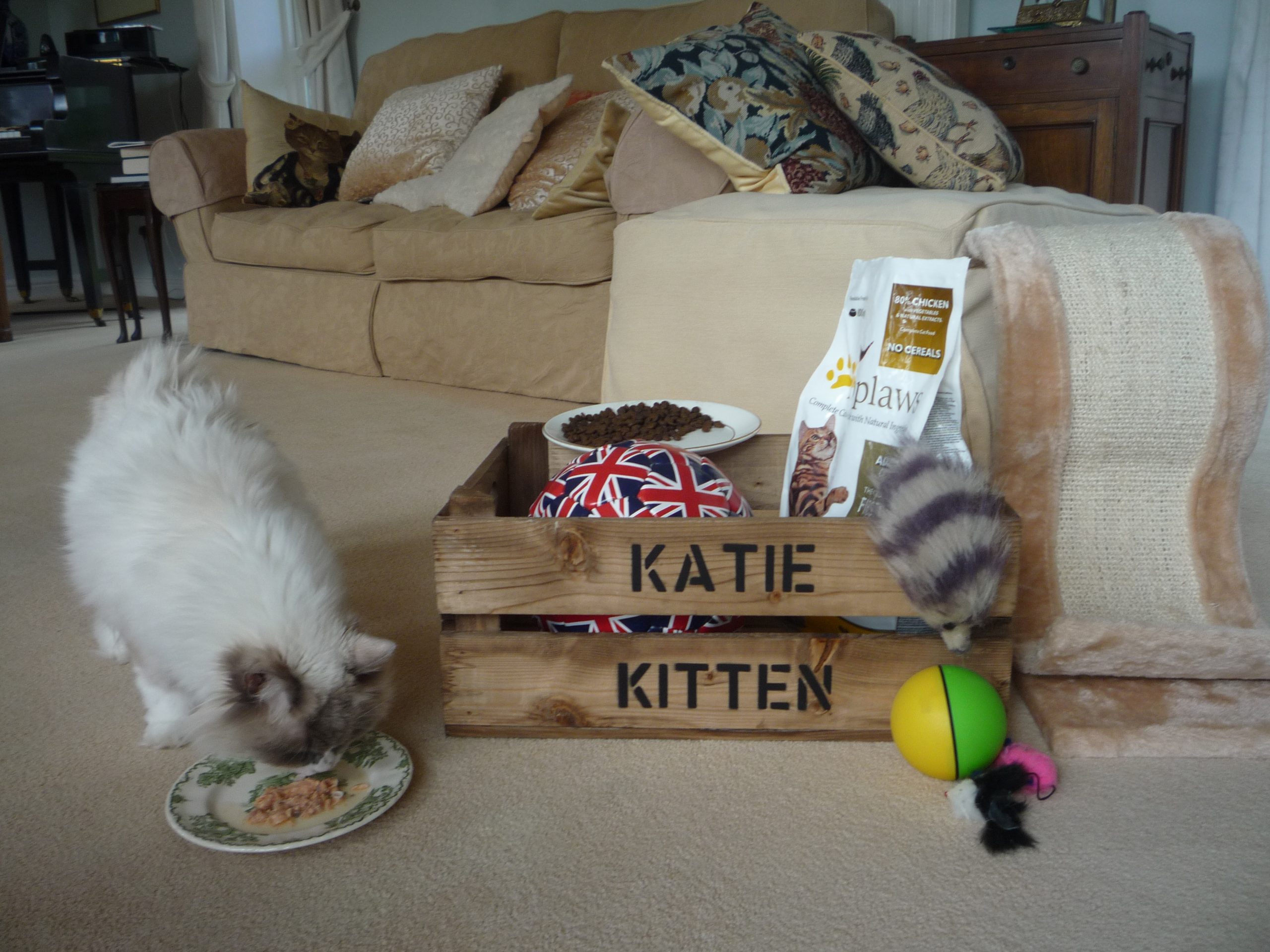 Personalised Toy Crate for Cats or Dogs