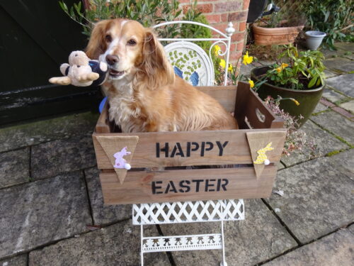 Personalised Easter Half Bushel Crate